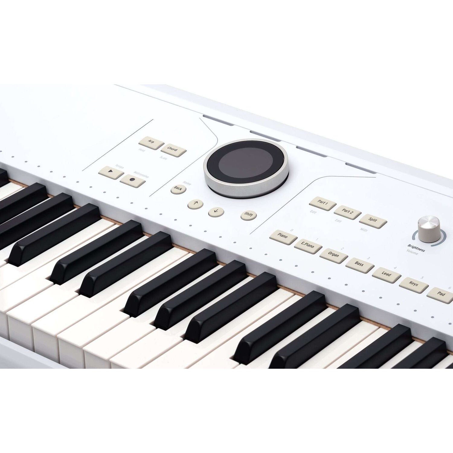 Arturia AstroLab 61-key Stage Keyboard – ProSoundGear.com